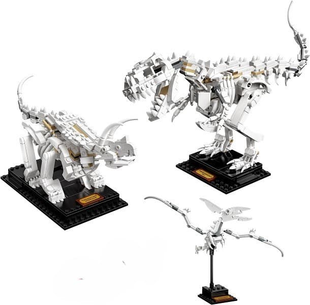 Dinosaur Fossils